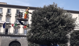 Napoli: Interventi di sagomatura e potatura in corso in diverse zone della citt