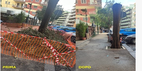 Napoli: Municipalità 5 e Poggioreale, interventi di decoro urbano 